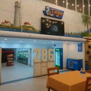 Quạt chắn gió Oulai FM3509DY