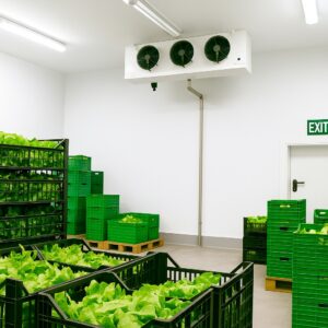 Nếu bạn đang tìm kiếm giải pháp kho lạnh nông sản hiệu quả và bền vững, Vinadock chính là đối tác đáng tin cậy đồng hành cùng bạn trên hành trình phát triển nông nghiệp bền vững.